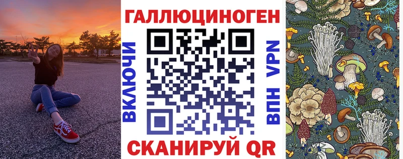 Купить закладки  Светогорск  Галлюциногенные грибы GOLDEN TEACHER 